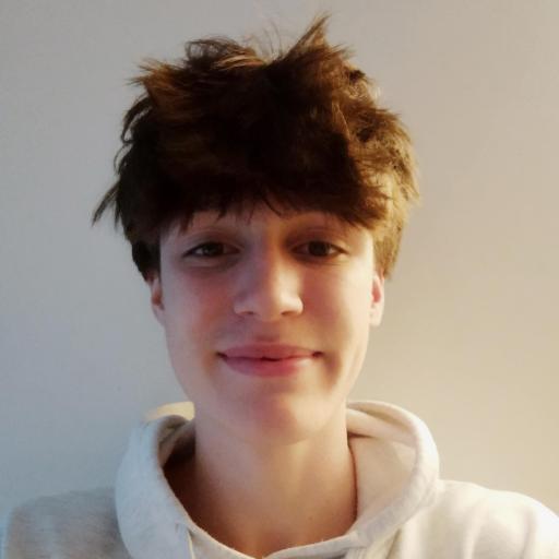 Raphaël M